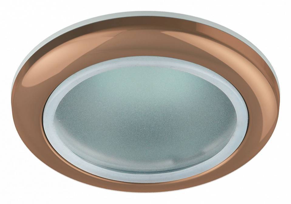 Встраиваемый светильник Эра WR1 C0043844