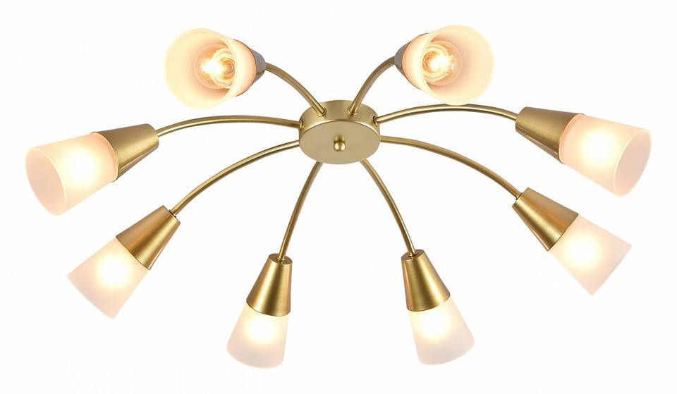 Потолочная люстра Escada Aquilegia 1100/8P Chrome