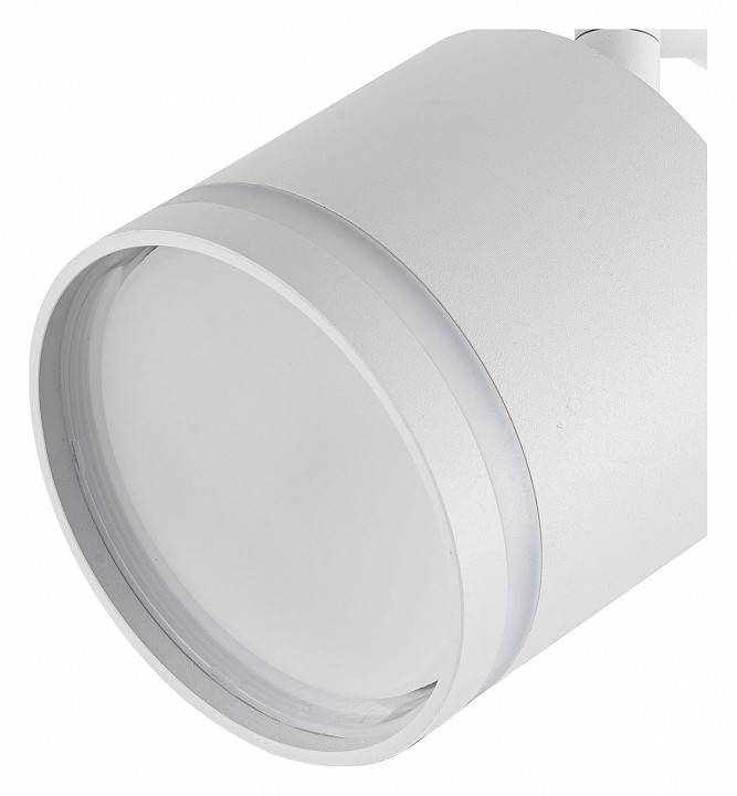 Светильник на штанге Escada 20009 2xE27 20009TRA/02 SWH