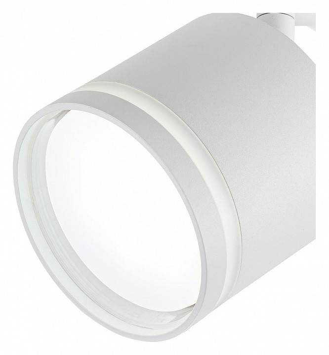 Светильник на штанге Escada 20009 2xE27 20009TRA/02 SWH