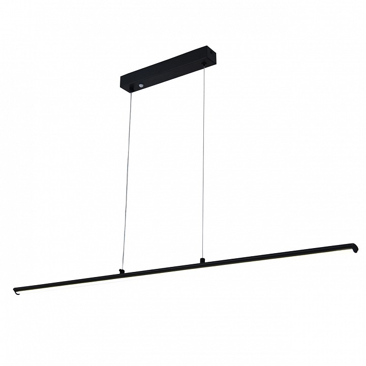 Подвесной светильник Escada 170001 100001/1PL Black