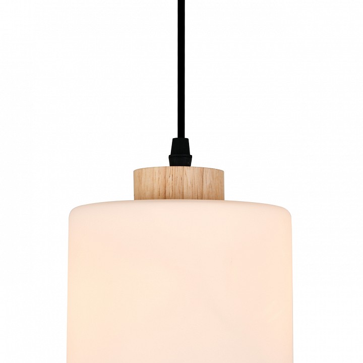 Подвесной светильник Escada 160002 160002/B/1P Black