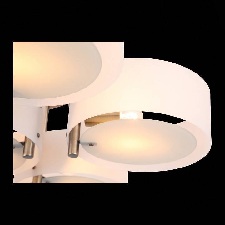 Потолочная люстра EVOLUCE Foresta 7 ламп SL483.352.07