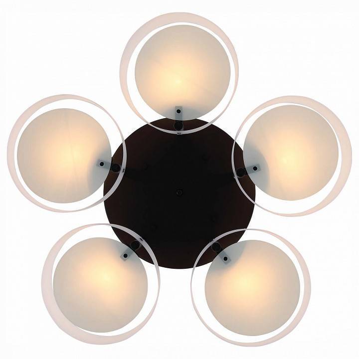 Потолочная люстра EVOLUCE Foresta 5 ламп SL483.402.05