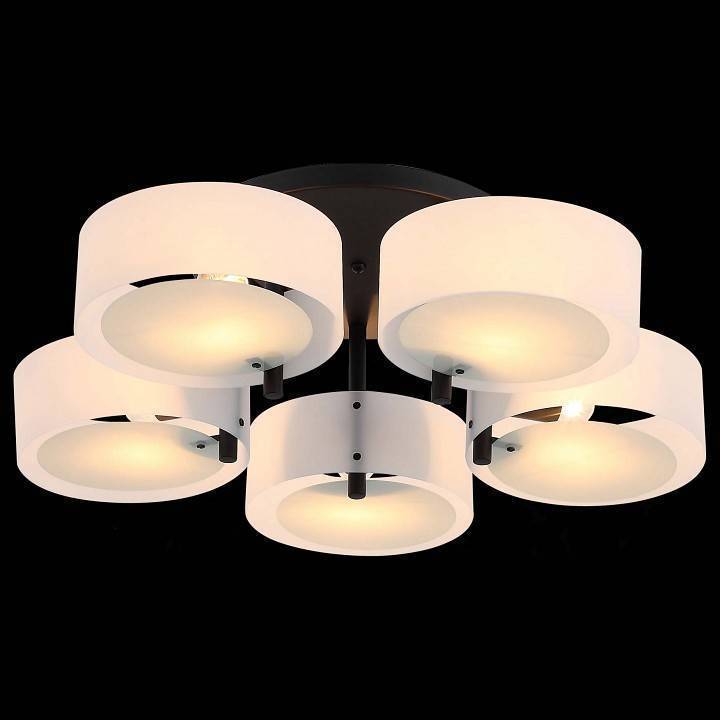 Потолочная люстра EVOLUCE Foresta 5 ламп SL483.402.05