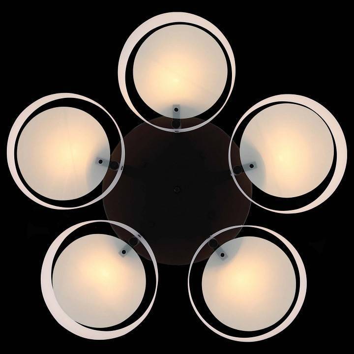 Потолочная люстра EVOLUCE Foresta 5 ламп SL483.402.05