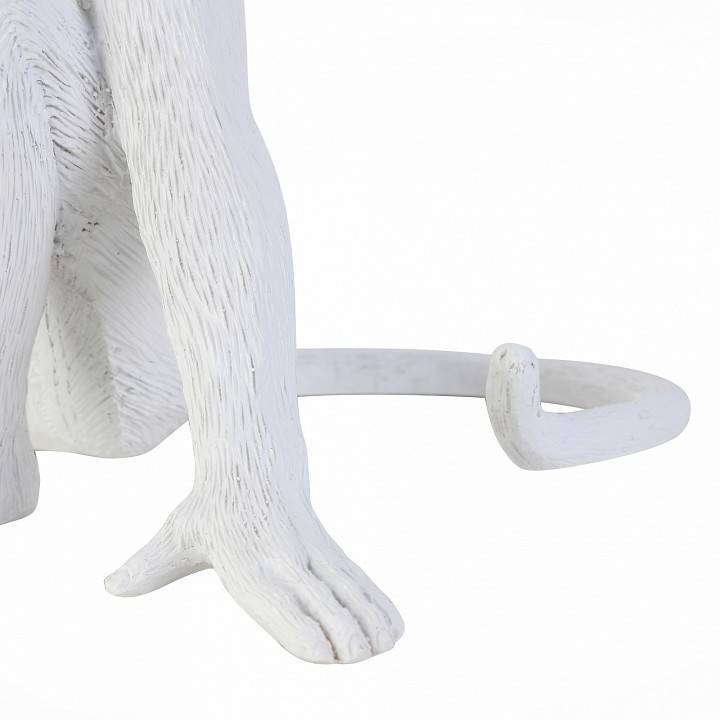 Настольная лампа декоративная EVOLUCE Tenato SLE115104-01