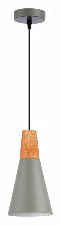 Подвесной светильник Evoluce Modica 1 лампа SLE125173-01