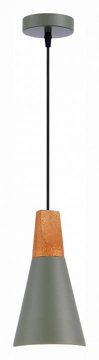 Подвесной светильник Evoluce Modica 1 лампа SLE125173-01