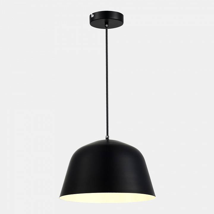 Подвесной светильник EVOLUCE Blank 1хE27 SLE1805-403-01