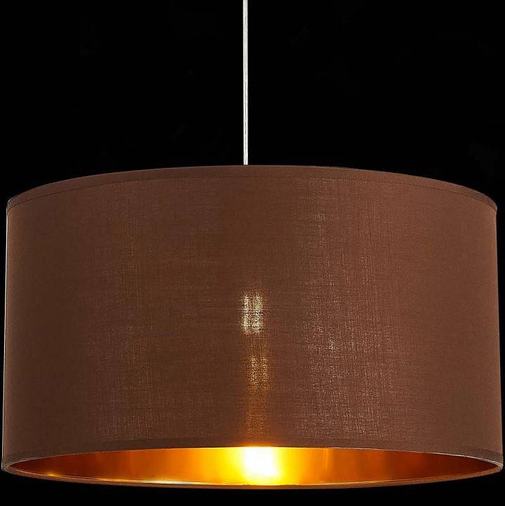 Подвесной светильник EVOLUCE Brescia 1хE27 SLE300573-01