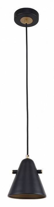 Подвесной светильник F-promo Rigor 2844-1P