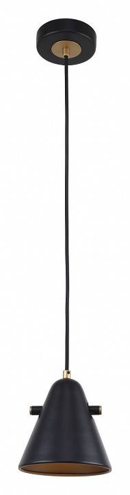 Подвесной светильник F-promo Rigor 2844-1P