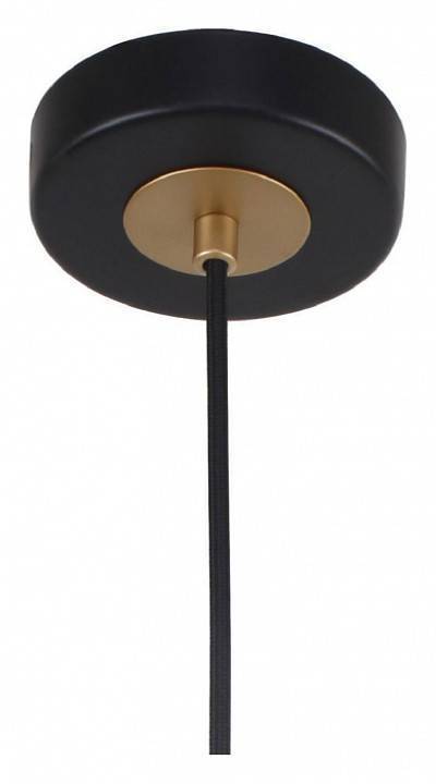 Подвесной светильник F-promo Rigor 2844-1P