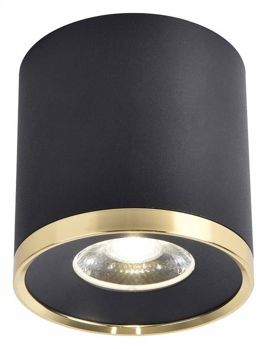 Потолочный светильник Favourite Prakash 3086-2C