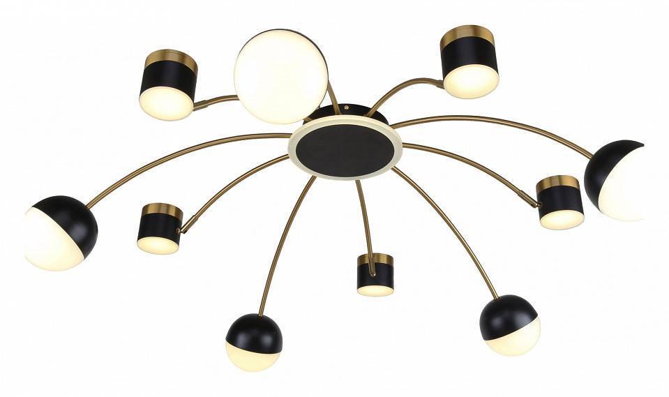 Люстра потолочная F-promo Canvas 10xE14 3096-10P