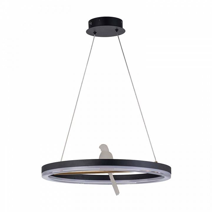 Подвесной светильник F-promo Bardy 4654-1P