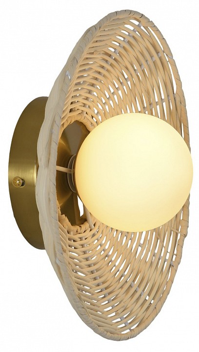 Накладной светильник Favourite Trenza 4836-1W