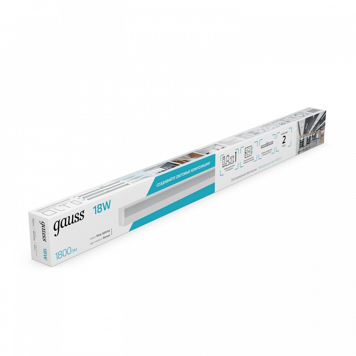 Накладной светильник Gauss  883525280