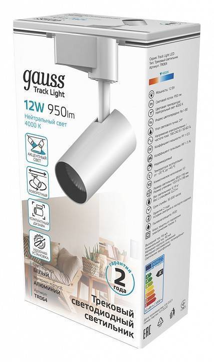 Светильник на штанге Gauss TR TR064