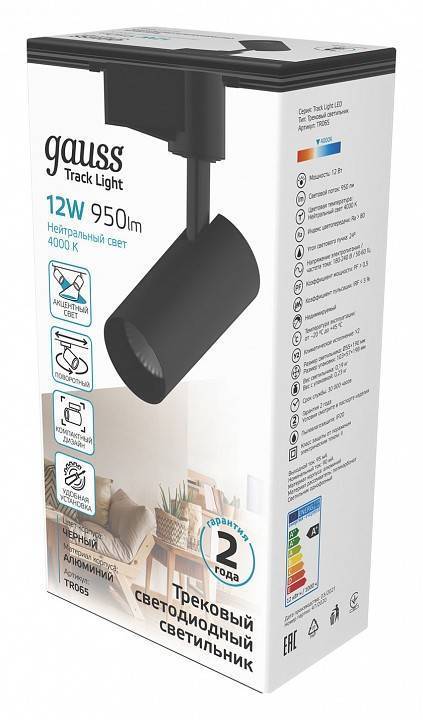 Светильник на штанге Gauss TR TR065