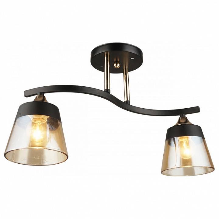 Светильник на штанге Imex MD.3772-2-S BK+FGD