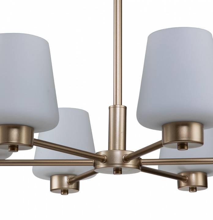 Подвесная люстра Indigo Tulip 6 ламп 13004/6P Gold