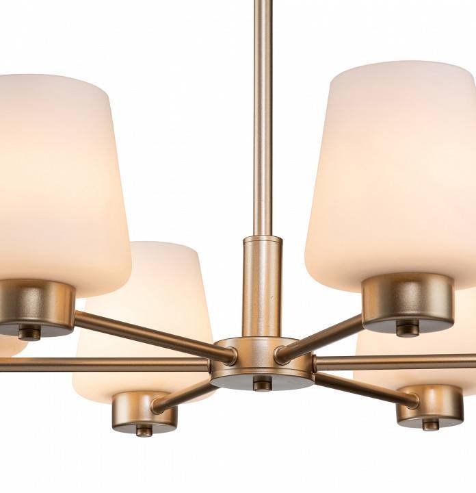 Подвесная люстра Indigo Tulip 6 ламп 13004/6P Gold