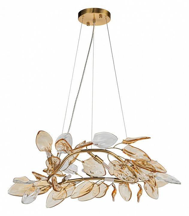 Подвесная люстра Indigo Olivo 11043/6P Amber