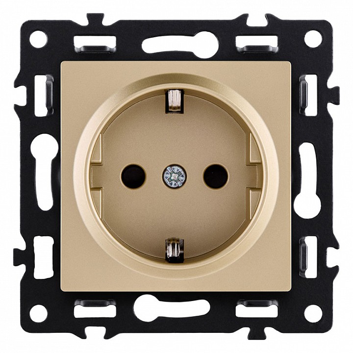 Розетка с заземлением, без рамки Kollinger Asthetik AS-014GD