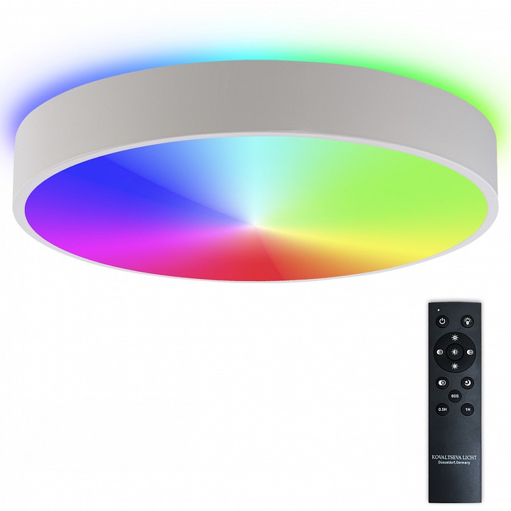 Светильник накладной Natali Kovaltseva MODERN LED LAMPS 81105/2C