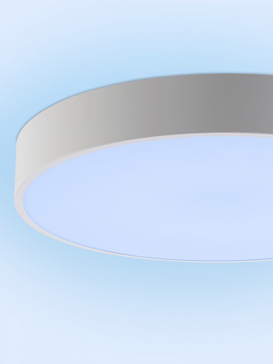 Светильник накладной Natali Kovaltseva MODERN LED LAMPS 81105/2C