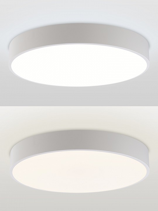 Светильник накладной Natali Kovaltseva MODERN LED LAMPS 81105/2C