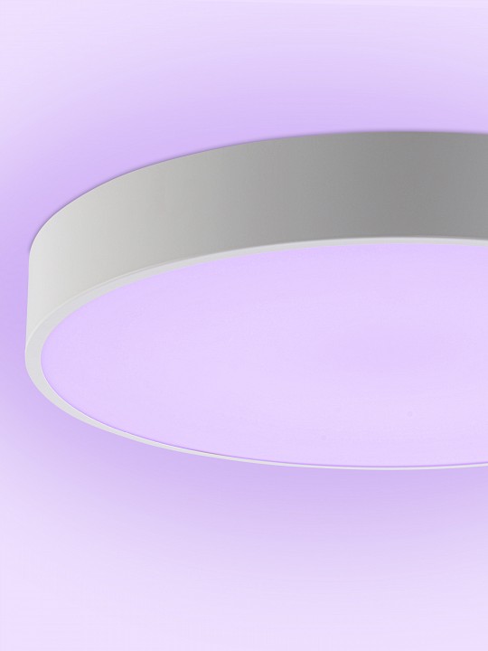 Светильник накладной Natali Kovaltseva MODERN LED LAMPS 81105/2C