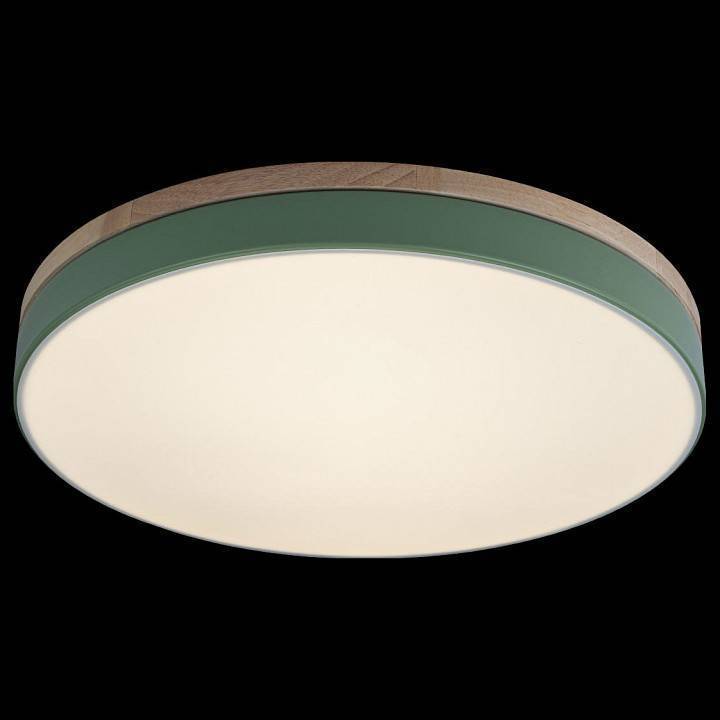 Накладной светильник Loft it Axel 10001/36 Green