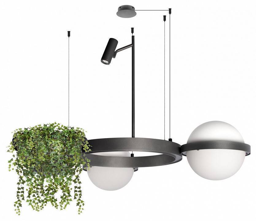 Подвесная люстра Loft It Jardin Dark grey 10121/2 Dark grey