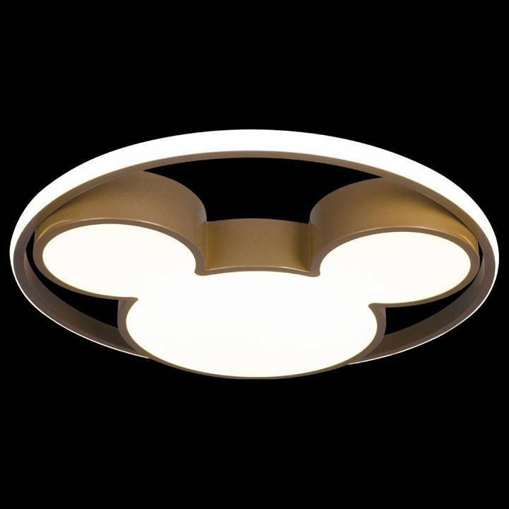 Накладной светильник Loft It Mike 10167