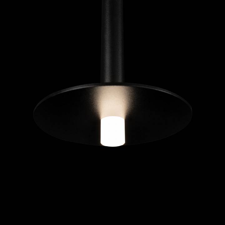 Подвесной светильник Loft it Reed 10358/830 Disk