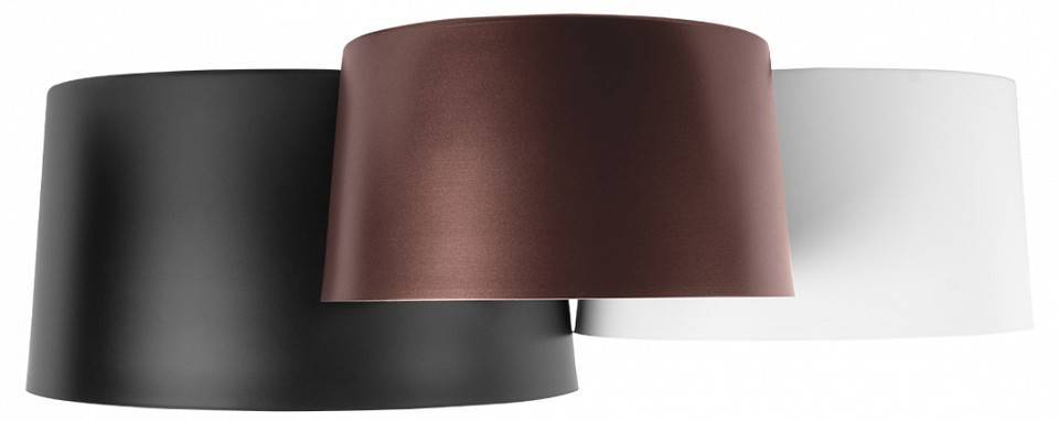 Потолочная люстра Loft it Duo 10360/3