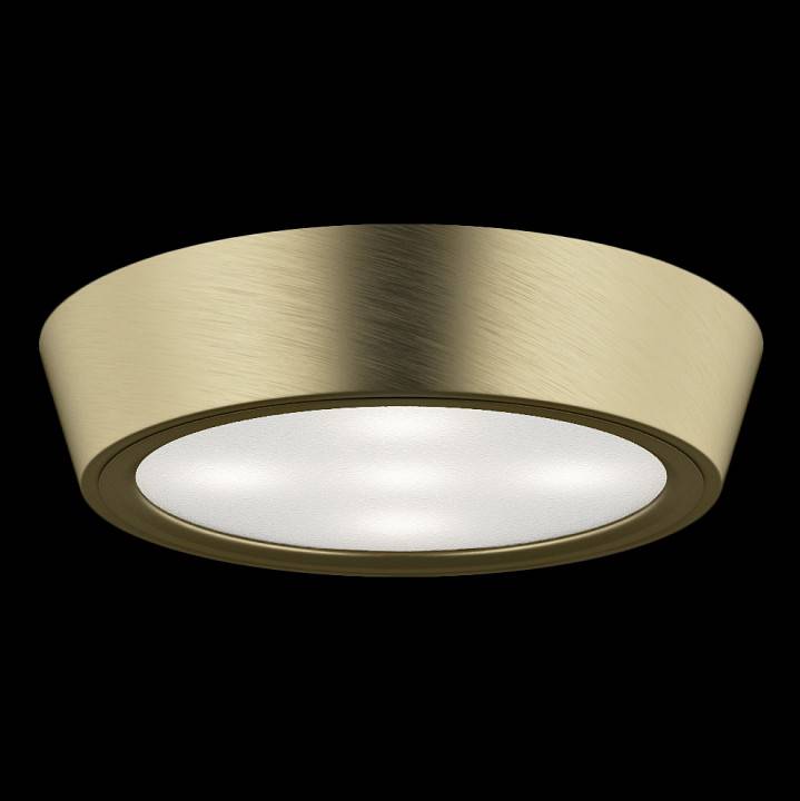 Накладной светильник Lightstar Urbano 214914