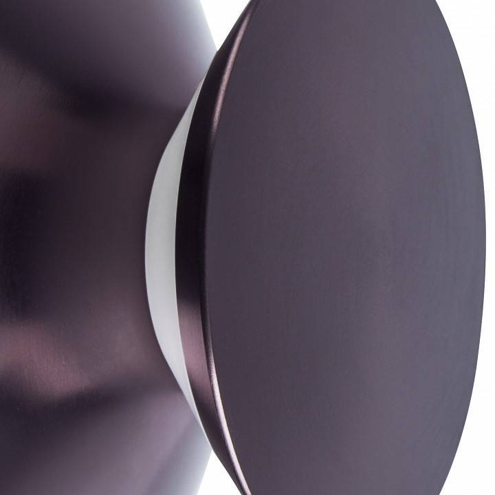 Светильник накладной Lightstar Celesta 809108