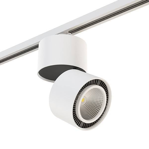 Накладной светильник Lightstar Rullo A1T214816