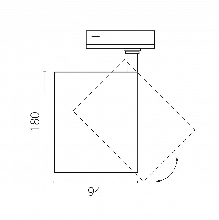 Светильник на штанге Lightstar Canno Pro C4406SS
