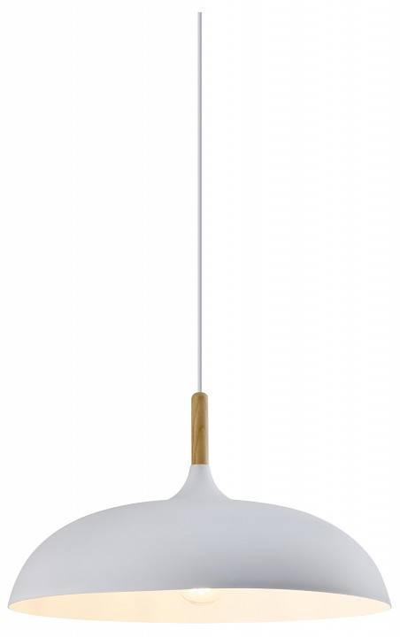 Подвесной светильник Moderli Hygo V11447-1P