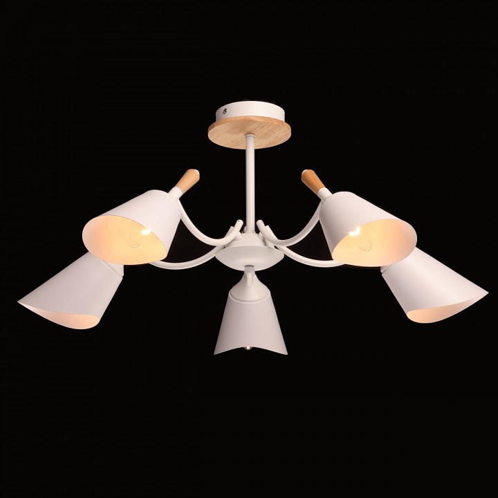 Люстра на штанге De City Дэла 5 635014805