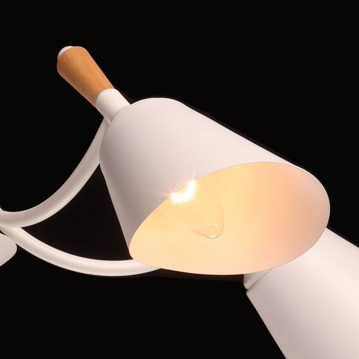 Люстра на штанге De City Дэла 5 635014805