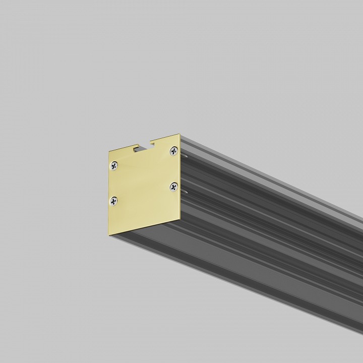 Заглушка для профиля Maytoni TRA005P серебристая 642039