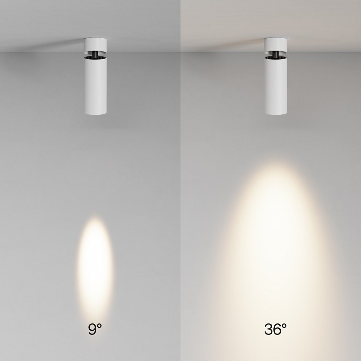 Потолочный светильник Maytoni Technical Focus LED 12 Вт 3000K C055CL-L12W3K-SS-W