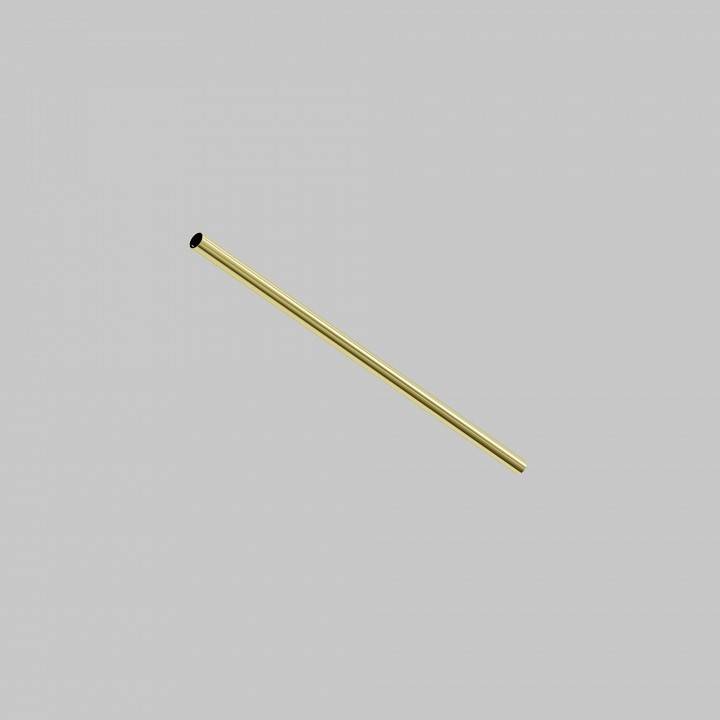 Штанги Maytoni Accessories for system Axity CA001-L500-BS