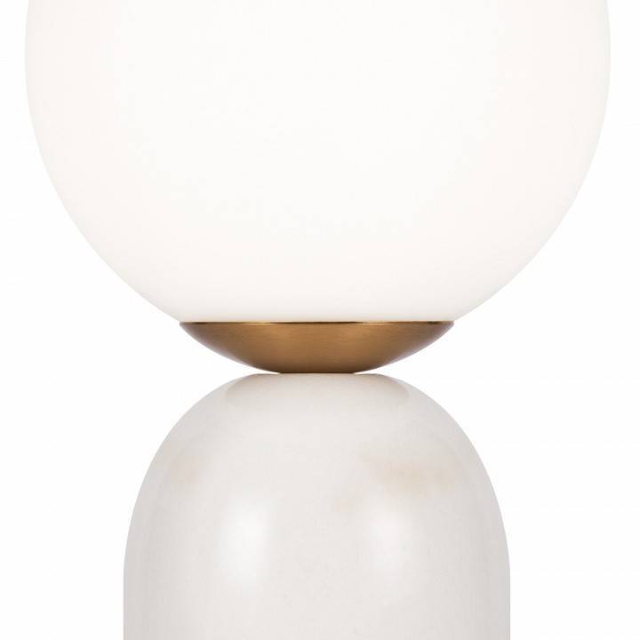 Настольная лампа декоративная Freya Fossil FR5288TL-01W